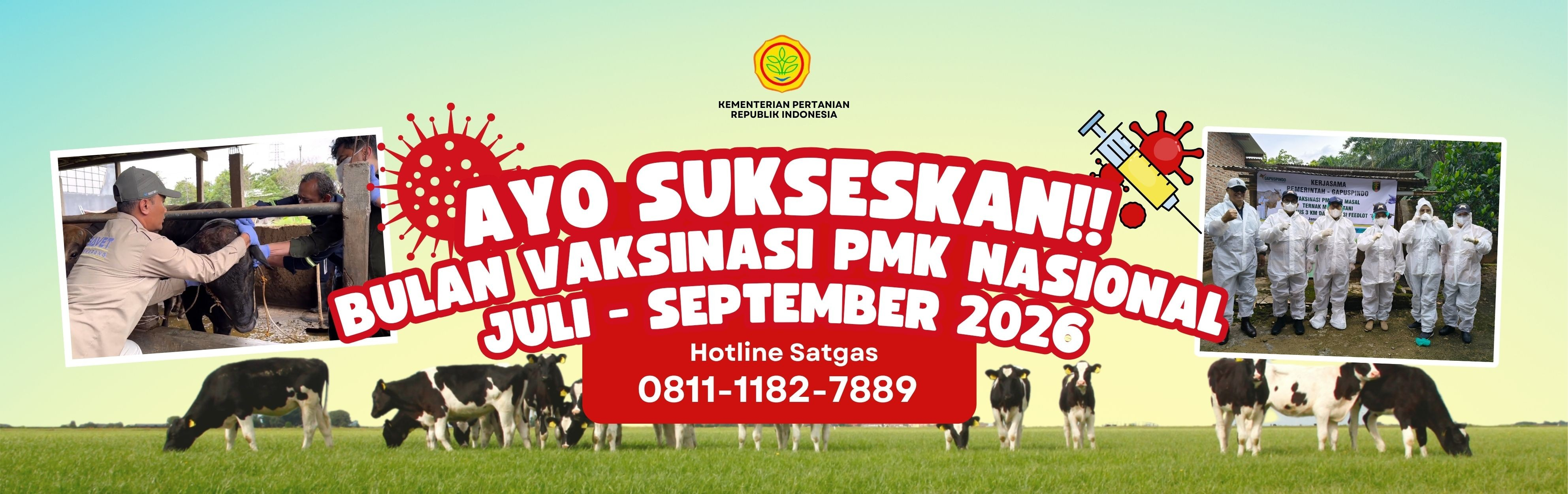 Bulan Vaksinasi PMK Nasional Juli-September 2026
